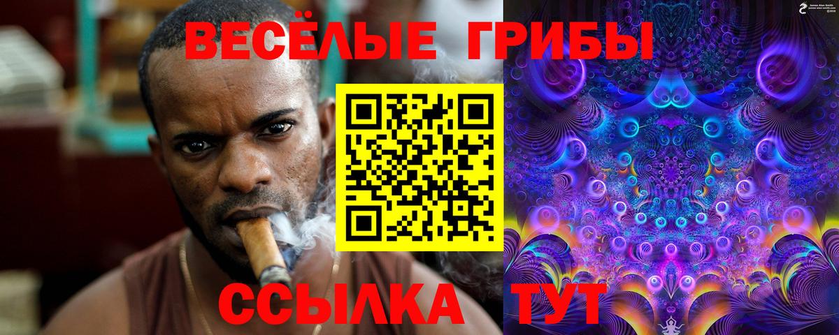 Псилоцибиновые грибы мухоморы  Вход с VPN  Гурьевск 