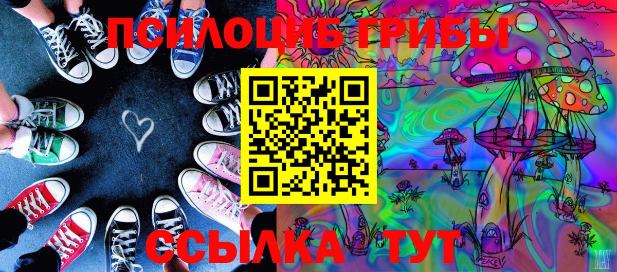 Галлюциногенные грибы MAGIC MUSHROOMS Гурьевск